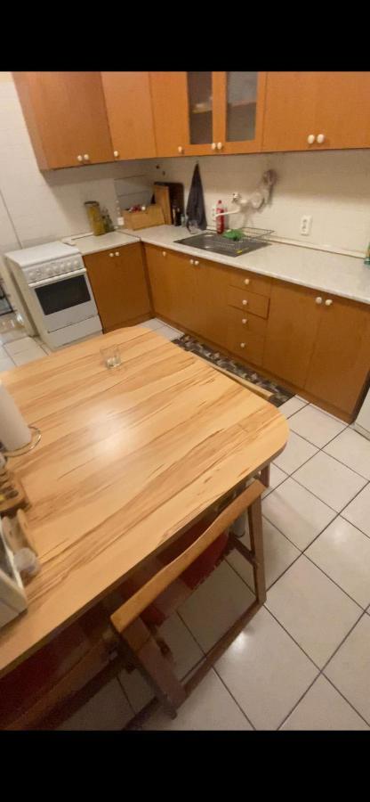 Oeguenc'S Apartment Segedin Dış mekan fotoğraf